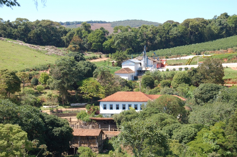 Brazil Fazenda Sertao 2022 (115)